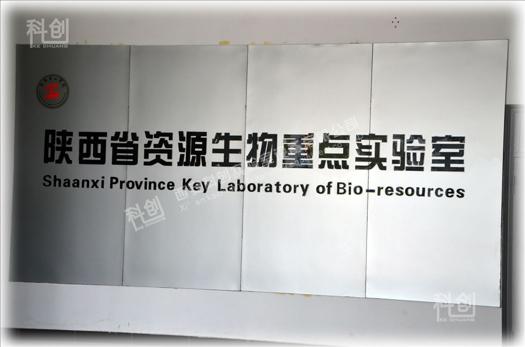 ���������W(xu��)